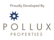 Pollux Properties